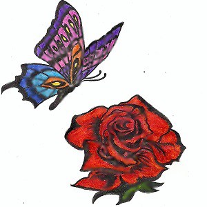 Butterfly and Rose